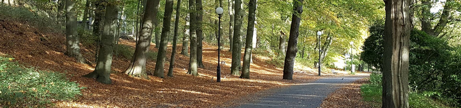 slottskogen-alle-psykoterapi